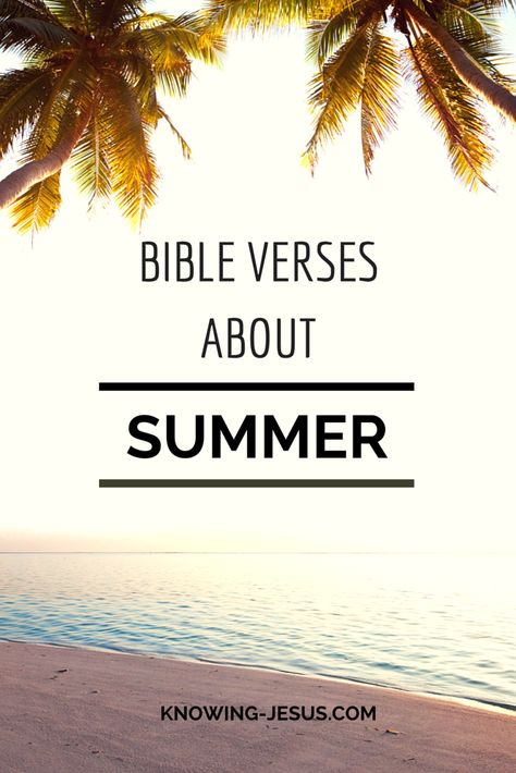 Bible verses about summer Summer Bible Quotes, Summer Bible Verses, Verses About Family, Study Topics, God Things, Bible Stuff, Christian Things, Women's Ministry, Christian Stuff