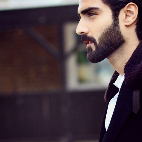 Groom Beard Style, Wedding Hairstyles For Men, Hasnain Lehri, New Beard Style, Types Of Facial Hair, Beard Cuts, Beard Growth Kit, Long Beard Styles, Best Beard Oil