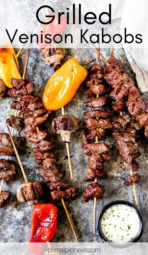 Venison Recipes Grilled, Grilled Deer Steak, Grilled Venison Tenderloin, Deer Kabobs, Venison Sirloin Recipes, Venison Teriyaki, Deer Loin Recipes, Venison Loin Recipes, Venison Kabobs