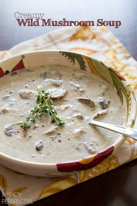 Wild Mushroom Soup, Banting Recipes, A Spicy Perspective, Fall Soup Recipes, Wild Mushroom, Product Testing, Fall Soups, Soup And Sandwich, Wild Mushrooms