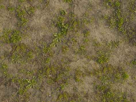 Stone Tile Texture, Paving Texture, Psd Texture, Wood Floor Texture, Sand Texture, Plant Texture, Soil Texture, Warhammer Terrain, Tree Textures