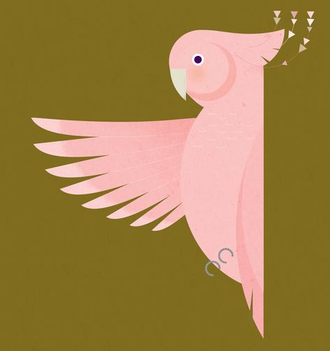 A series I am working on as a personal project. Stay Tuned Design, Birds Vector, Fauna Illustration, Pink Cockatoo, Bird Illustrations, Art To Make, Digital Sketch, Geometric Abstraction, Garden Illustration