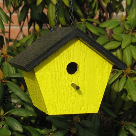 Amish Shapz Polygon Birdhouse Simple Birdhouse, Bird House Plans, Unique Bird Houses, Bird House Kits, Bird Aviary, Bird Houses Painted, Birdhouse Designs, Painted Rainbow, Kinds Of Birds