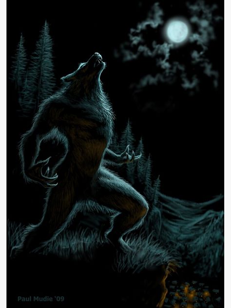 "Howl of the Werewolf" Poster by pmoodie | Redbubble The Wolfman 2010, Female Werewolves, The Werewolf, Werewolf Art, Vampires And Werewolves, Wolf Wallpaper, Wolf Spirit, Mythical Creatures Art, A Wolf