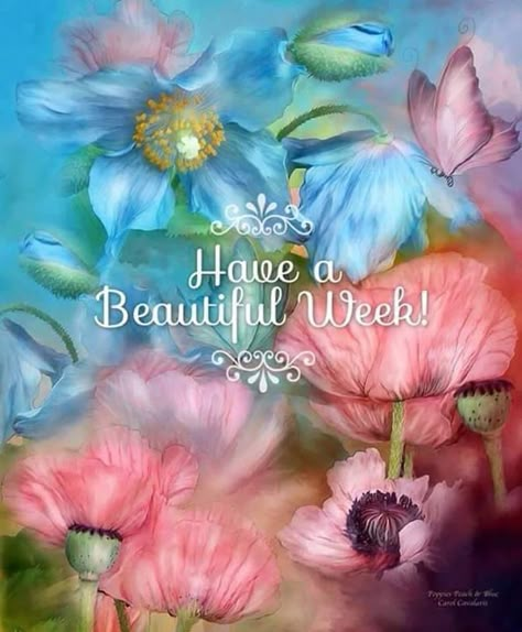 Good Week monday monday quotes happy monday have a great week monday quote happy monday quotes Happy Monday Quotes, Blessed Week, Poppy Garden, Creation Photo, Happy Week, Poppy Painting, Good Week, Morning Greeting, Lovely Print