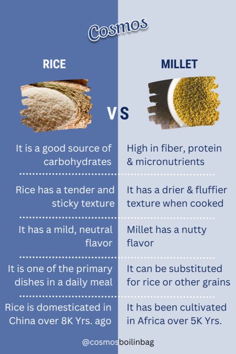 Rice vs Millet - Major differences Importance Of Millets Poster, Millets Poster Making Ideas, Benefits Of Millets, Types Of Millets, Millet Benefits, Nutrition Poster, Herbal Health, Food Benefits, Millet Recipes