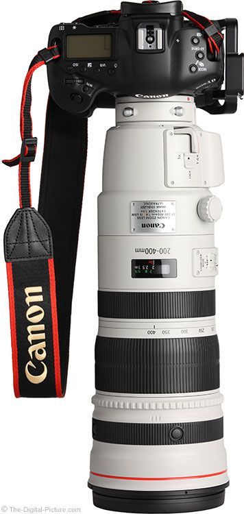 Photography Gear: Ca Photography Gear: Canon EF 200-400mm f/4L IS USM Ext 1.4x Lens on EOS 1D X | photography | camera collection | good cameras | cameras | camera accessories | #dslr #photography #cameragear Canon Camera Photography, X Photography, Cannon Camera, Best Camera For Photography, Canon Dslr Camera, Canon Cameras, Camera Collection, 5d Mark Iv, Photo Gear