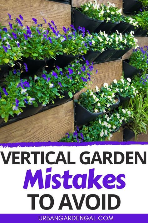 vertical garden mistakes Vertical Garden Idea, Dream Gaming Room, Vertical Patio Garden, Vertical Garden Flowers, Birmingham House, Streaming Room, Vertical Planting, Vertical Garden Plants, Home Garden Ideas