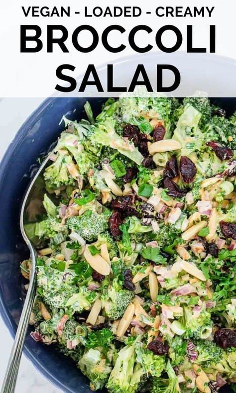 Healthy Bbq Side Dishes, Side Dishes For A Crowd, Vegan Broccoli Salad, Broccoli Salad With Cranberries, Creamy Broccoli Salad, Salad With Cranberries, Healthy Bbq, Broccoli Side Dish, Mayo Dressing