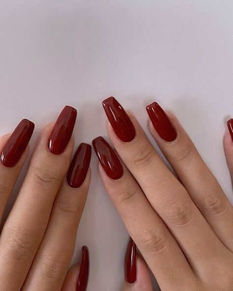 Wine Nails, Maroon Nails, Simple Gel Nails, Nails Fashion, Almond Acrylic Nails, Red Nail, Ballerina Nails, Classy Nails, Chic Nails