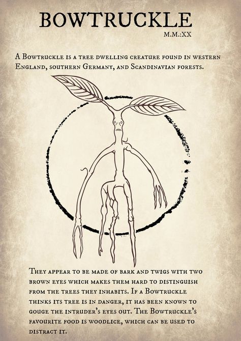 Desing from the bowtruckle of the movie antastic beasts and where to find them, I intend to make all creatures If they are present in future films of the franchise Fantastic Beasts Creatures, Harry Potter Creatures, Harry Potter Journal, Imprimibles Harry Potter, Harry Potter Printables, Harry Potter Poster, Buku Harry Potter, Harry Potter Spells, Beast Creature