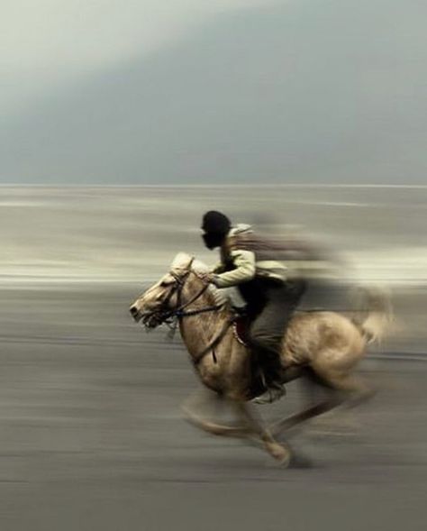 Sheena’s Instagram post: “🐦via @le_triptyque #sourceunknown #signs” Panning Photography, Muharram Wallpaper, Blur Photography, Motion Photography, Slow Shutter Speed, Slow Shutter, Islamic Artwork, Motion Blur, Long Exposure