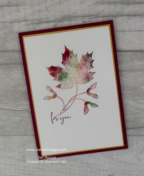 Stampin Up Soft Seedlings, Soft Seedlings, Fall Card Ideas, Vintage Leaves, Autumn Cards, Baby Wipe, Leaf Cards, Cas Cards, Fall And Thanksgiving