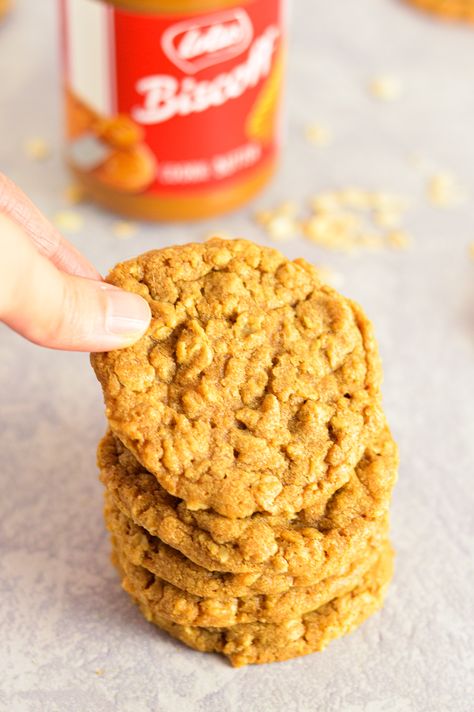 Biscoff Oatmeal, Great Snacks, Biscoff Cookie Butter, Biscoff Spread, Cinnamon Oatmeal, Biscoff Cookies, Oat Cookies, Oatmeal Bars, Ginger Cookies