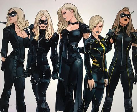 Red Canary, Dinah Laurel Lance, Arrow Black Canary, Otto Schmidt, Superhero Suits, Dc Comics Artwork, Uncanny X-men, Comics Girls, Hero Costumes