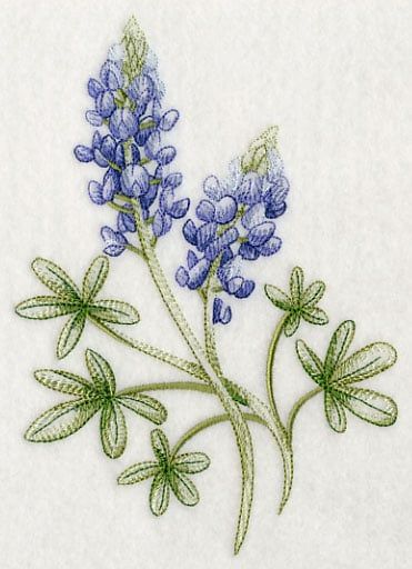 Painting Bluebonnets, Texas Tattoo, Texas Quilt, Texas Crafts, State Flowers, Scientific Drawing, Mama June, Blue Bonnet, Texas Bluebonnets