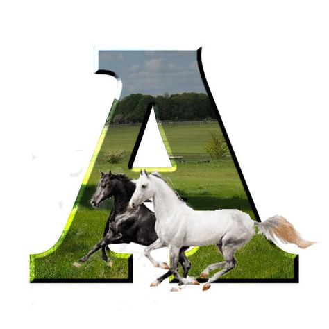 Horse Alphabet, Decorated Letters, Animal Letters, Alphabet Art, Decorative Letters, Free Printables, Abc, Alphabet, Gif