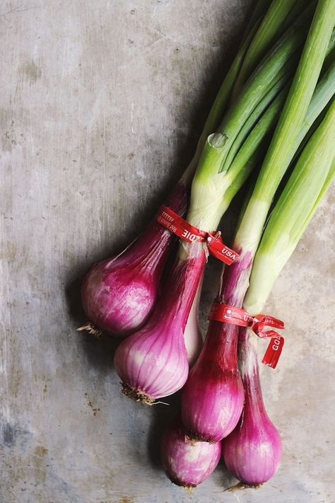 Onion Photo, Onion Photography, Garlic Pasta Recipe, Garlic Butter Pasta, Garlic Bread Pizza, Garlic Bulbs, Onion Leeks, Garlic Shrimp Pasta, Planting Garlic