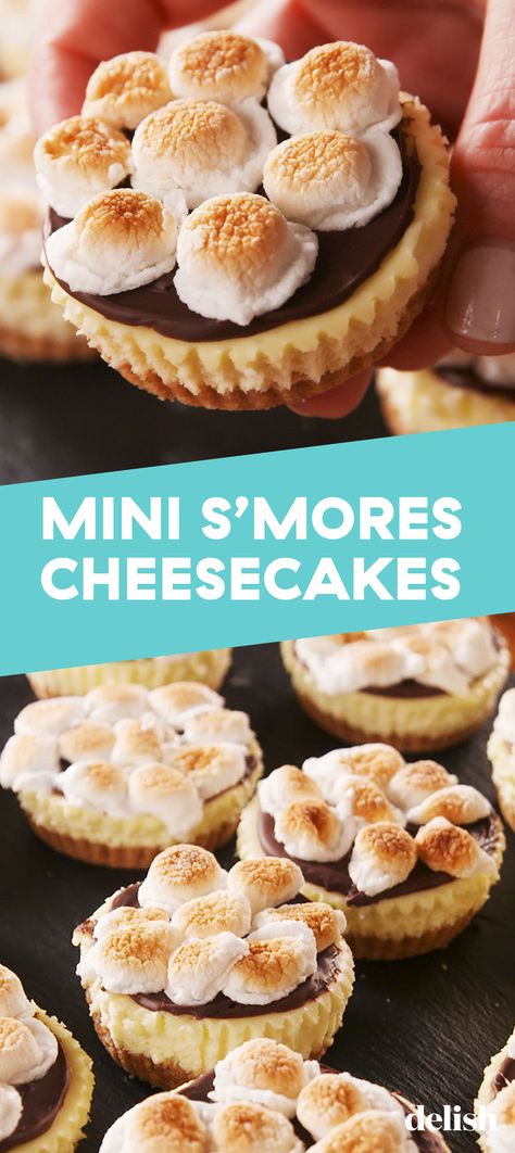 No campfire required for these Mini S'mores Cheesecakes. Get the recipe at Delish.com. #recipe #easy #easyrecipes #delish #smores #cheese #cake #cheesecake #marshmallows #chocolate #baking #dessert #dessertrecipes Smore Cheesecake, Smores Cheesecake Recipe, Vegan Cheesecake Recipe, Cake Cheesecake, Dessert Simple, Easy Cheesecake Recipes, Cheesecake Desserts, Cheesecake Bites, S'mores