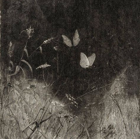 Butterflies by William Baxter Closson, ca. 1887 (Detail) Butterflies, Black And White, Pins, White, Black