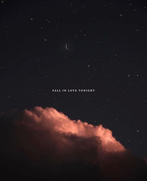 stay another hour on Instagram: “// lets fall in love tonight 🌒 📸 by @visualldreams //” Tonight Quotes, Wallpaper Quotes, For Life, Painting & Drawing, Fall In Love, Falling In Love, In Love, Paintings, In This Moment