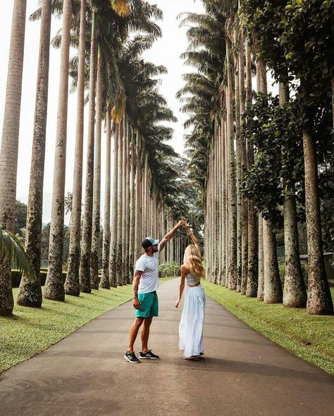 "The best things in life are better with you"❤❤️. . ~ Royal Botanical Garden , Kandy ~ . These stunning gardens were once reserved exclusively for Kandyan royalty. Today, even commoners are allowed in to enjoy the most impressive and largest (60 hectares) botanic gardens in Sri Lanka.  Highlights include a fine collection of orchids, a stately avenue of royal palms, the extraordinary, aptly named cannonball fruit tree and 40m-high Burma bamboo. Another big hit is the giant Javan fig tree on the Romantic Pic, Better With You, Couples Book, Sri Lanka Travel, Best Things In Life, Botanic Gardens, Garden Photos, Kandy, Botanical Garden