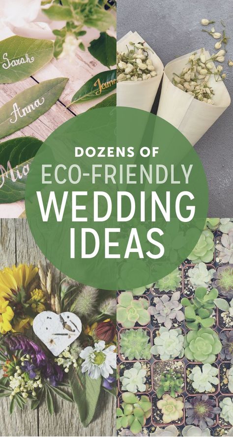 Eco-friendly Wedding Ideas | The Budget Savvy Bride Wedding Souvenirs For Guests, Eco Wedding, Boda Mexicana, Sustainable Wedding, Eco Friendly Wedding, Talking Heads, Budget Wedding, Green Wedding, Wedding Themes