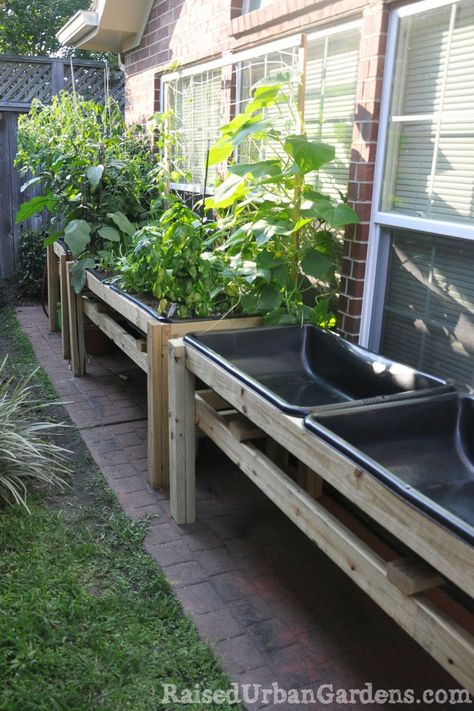 How to garden in a tiny yard... Oh my goodness, these are cement mixing trays (Home Depot) & they are about $14 each. I have one as my duck's pool. :) Garden Potager, Tiny Yard, Raised Planters, Urban Garden Design, How To Garden, Concrete Patios, Building A Raised Garden, Garden Area, Have Inspiration