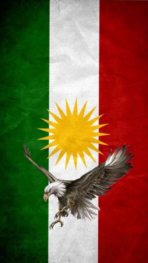 Kurdistan Flag Wallpaper, Kurdistan Wallpaper, Eagle And Flag, Android Wallpaper Blue, Minecraft Wallpaper, National Animal, Patriotic Gifts, Girls Cartoon Art, Tupac