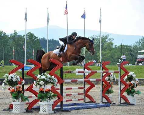 Margie Engle and Royce winning the 2012 Purina Mills Grand Prix Grand Prix Horse Show Jumping, Grand Prix Show Jumping, English Riding Aesthetic, Olympic Equestrian, Equestrian Jumping, Show Jumping Horses, Equestrian Aesthetic, Eventing Horses, Beautiful Horse Pictures