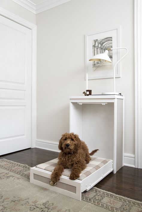 Murphy Dog Bed DIY - roomfortuesday.com Murphy Dog Bed, Dog Bed Diy, Cheap Dog Kennels, Cute Puppies Images, Room For Tuesday, Murphy Bed Ikea, Dog Spaces, Designer Dog Beds, Murphy Bed Plans