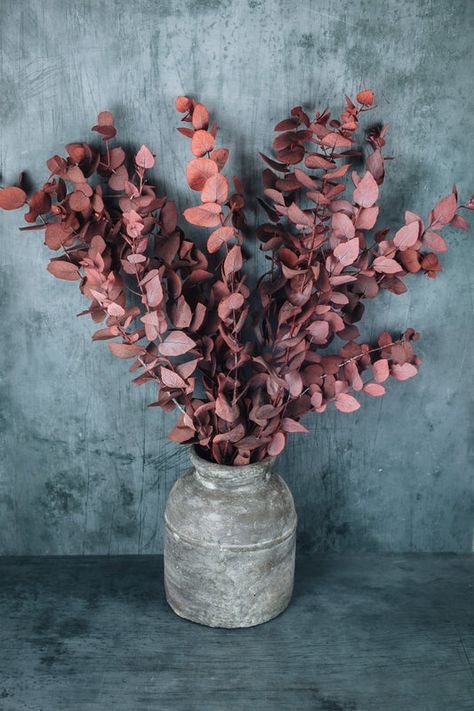 Eucalyptus Stems, Preserved Eucalyptus, Eucalyptus Bouquet, Billy Buttons, Flower Store, Dried Flower Bouquet, Eucalyptus Leaves, Natural Red, Shades Of Red