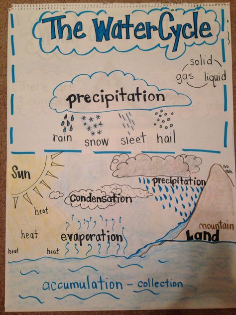 Water Cycle Poster Ideas, Hydrosphere Drawing, Cycle Of Water Project, Water Cycle Project Poster, Water Cycle Anchor Chart, Meteorology Notes, The Water Cycle Anchor Chart, What Is Water Cycle, Water Cycle Diagram Science