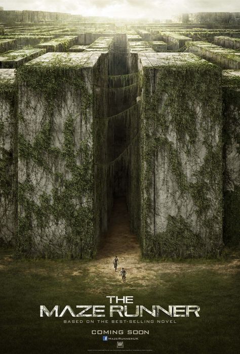 Maze Runner Movie, The Maze Runner, Maze Runner, Movie Poster