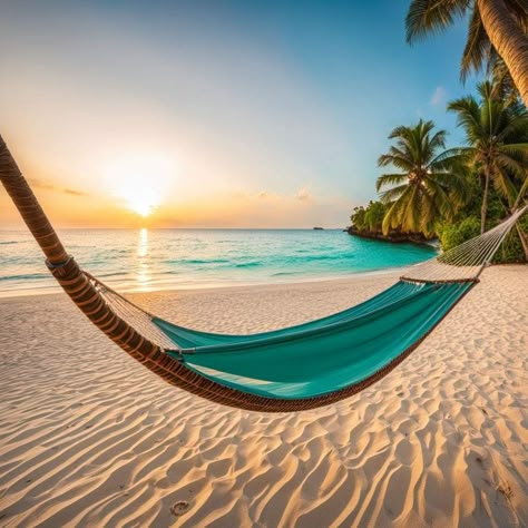 Beach Hammock Pictures, Tropical Beaches Wallpaper, Beach Hammock Pictures Instagram, Maldives Hammock, Hammock By The Beach, Beach Hammock, Deserted Island, Beach Views, Maldives Travel