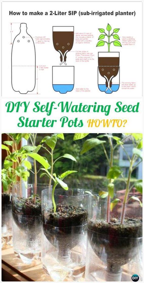 Plastic Bottle Garden, Diy Plastic Bottle, نباتات منزلية, Seed Starter, Recycled Garden, Bottle Garden, Vertical Gardens, Kraf Diy, Hydroponic Gardening