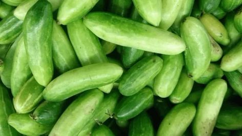 Ivy gourd, also known as tindora or tendli, is a versatile vegetable commonly used in South Asian and Southeast Asian cuisine. It has mild, slightly tangy flavour which makes it a great addition to various dishes apart from the sabzis that it is commonly eaten as. Ivy Gourd, Cooking Red Lentils, Savory Granola, Grocery Products, Vegetable Diet, Simple Vinaigrette, Green Veggies, Cold Cough, Vegetable Curry