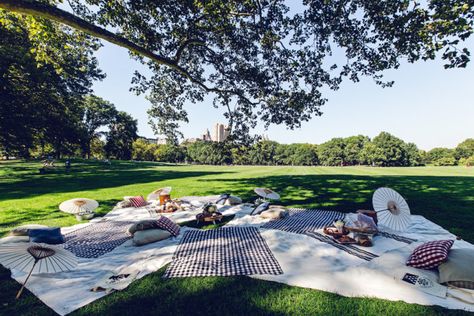 Picnic In Central Park, Central Park Picnic, Picnic Party Decorations, Picnic Baby Showers, History Repeats Itself, Tv Shows To Watch, Girly Birthday Party, Picnic Engagement, Picnic Birthday Party