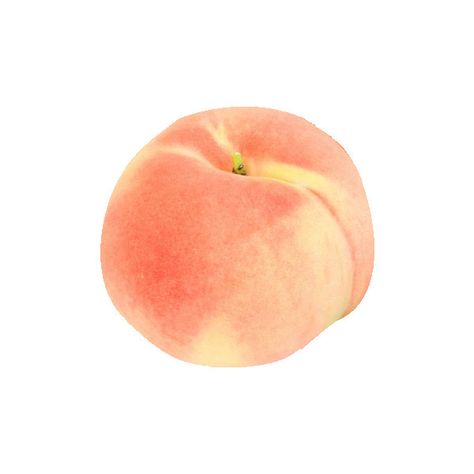 fawnned ❤ liked on Polyvore featuring fillers, food, food and drink, orange fillers, peach, detail and embellishment Moodboard Pngs, Orange Icons:), Fruit Orange, Peach Aesthetic, Png Aesthetic, Png Icons, Widget Icon, + Core + Aesthetic, Roald Dahl