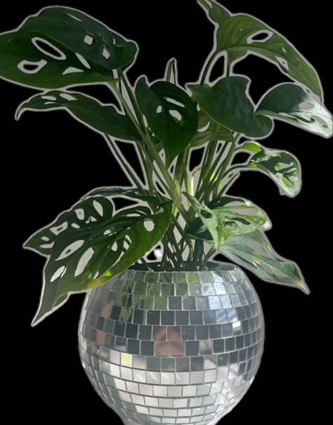 Disco Planter, Disco Ball Planter, Apartment Decor Inspiration, Dream Room Inspiration, Room Makeover Bedroom, Room Makeover Inspiration, Cute Room Decor, Room Inspiration Bedroom, Room Ideas Bedroom