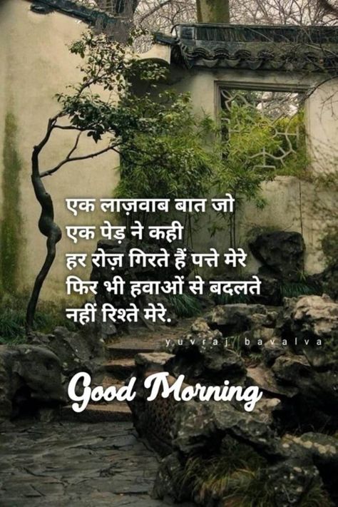 Good Morning Hindi, Good Morning Hindi Messages, Inspirational Good Morning Messages, Good Morning Quotes For Him, Good Morning Happy Friday, Good Morning Spiritual Quotes, Good Morning Sunshine Quotes, Hindi Good Morning Quotes, Good Morning Beautiful Flowers