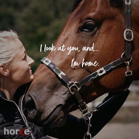 Horse Partnership Quotes, Horse Best Friend Quotes, Beautiful Horse Quotes, Horse Bond Quotes, Heart Horse Quote, Horses Quotes Inspirational, Horse Girl Quotes, Horse Quotes Meaningful, Horse Love Quotes