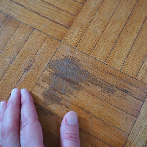 How To: Remove Stains from Wood - The Craftsman Blog Remove Stains From Wood, Removing Stain From Wood, Water Stain On Wood, Plank Hardwood Floors, Wine Stain Remover, Renovation Plan, Coffee Stain Removal, Remove Water Stains, Wide Plank Hardwood Floors