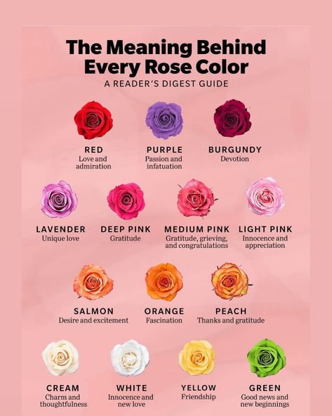 Contact/ dm us to order custom flower bouquet. Email: info@ledesara.ca #fyp #business #flower #floristry #supportlocal #rosé Flower Bouquet Names, Bouquet Sizes Chart, Funny Snapchat, Funny Snapchat Pictures, Green Charms, Flower Names, Ribbon Roses, Deep Pink, Good Thoughts Quotes