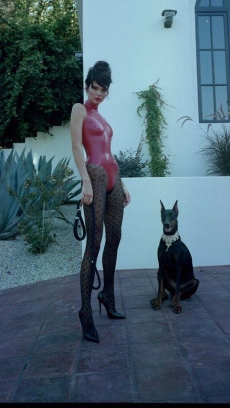 Doberman Pinscher Natural Ears, Dog Photoshoot, Red Bodysuit, Handmade Dog Collars, Photoshoot Themes, Pics Art, Doberman, Model Photography, Kendall Jenner