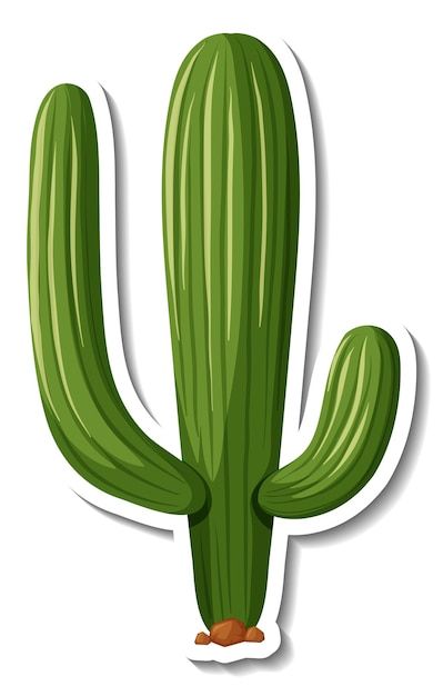 Saguaro cactus plant on white background | Free Vector #Freepik #freevector #clip-art #background-eps #desert-cactus #cartoon-svg Cactus Cake Topper, Cactus Cartoon, Opuntia Cactus, Car Cake Toppers, Cactus Svg, Dibujos Toy Story, Cactus Png, Prickly Cactus, Cactus Vector