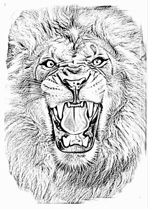 Angry Lion Tattoo Design, Angry Lion Tattoo, Daniel Tattoo, Angry Lion, Lion Art Tattoo, Lion Sketch, Head Anatomy, John Wayne Movies, Lion Tattoo Design