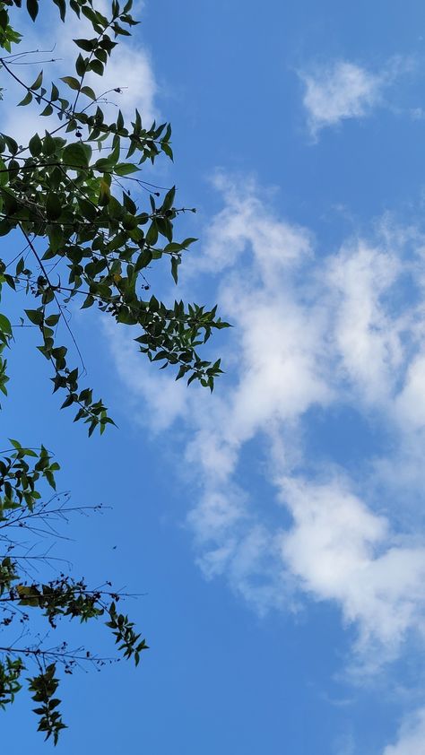 Beautiful Clouds, Snap Ideas, Sky Aesthetic, Quick Saves