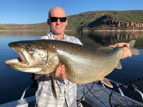 FishingBooker: Great Lakes Fishing: The Complete Guide for 2024 Lake Trout Fishing, Salmon Fishing, Lake Huron, Lake Fishing, Lake Ontario, Lake Erie, Going Fishing, Trout Fishing, Lake Superior