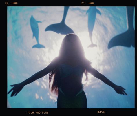 Genshin Mermaid, Nathalia Core, Ariel Movie, Ariel Icon, Ariel And Prince Eric, The Little Mermaid Live Action, Disney Princess And Princes, Little Mermaid Live Action, The Little Mermaid 2023